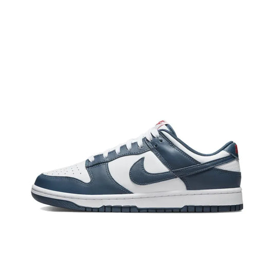 Nike Dunk Low Valerian Blue